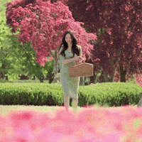 Fortitudo1 GIF