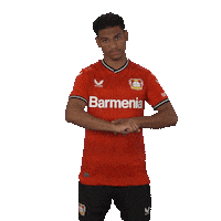 Come On Please Sticker by Bayer 04 Leverkusen