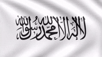 Flag Banner GIF