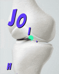 Fitness Stretching GIF by YOGABODY