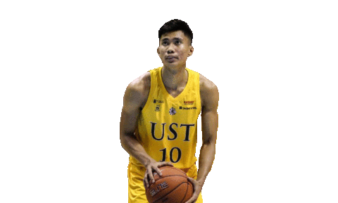 University Santo Sticker by UST Growling Tigers