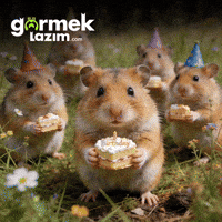 Happy Birthday GIF by Görmek Lazım