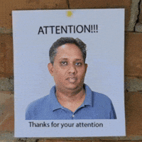 Insteinig GIF