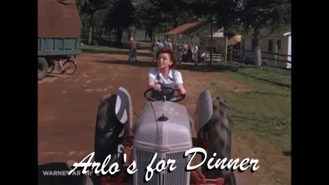 camplittlemore giphygifmaker judy garland arlo GIF