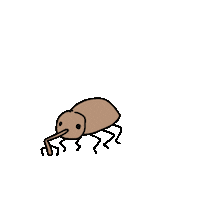 Pizza Bug Sticker