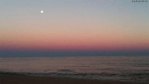 new york sunset GIF