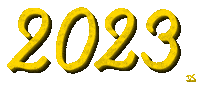 New Year Sparkle Sticker