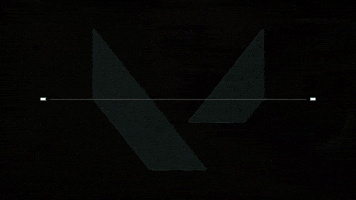 Valorant South Asia GIF by Valorant IN/SA