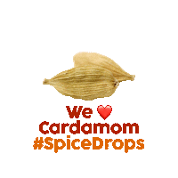 holylamaspicedrops cooking baking cardamom holylama Sticker