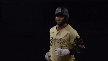 Celebrate Major League Baseball GIF by MLB
