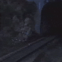 north by northwest train GIF