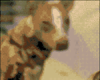 beutiful GIF