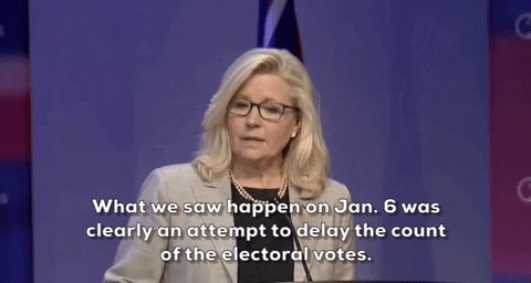 January 6 Gop GIF by GIPHY News