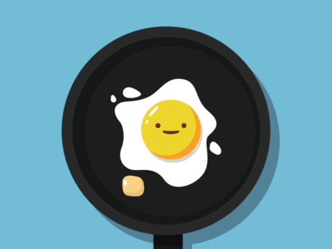 sonbirhaber giphyupload yumurta GIF