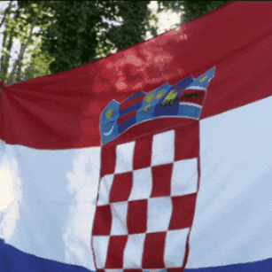 Croatian Flag Croatia GIF by FIA European Rally Championship