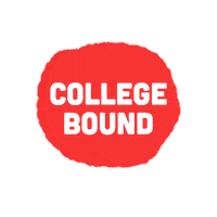 College Wisconsin Sticker