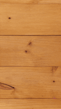 GIF by Sailor Coffee