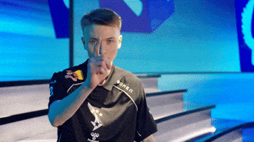 Point Esports GIF by BLAST