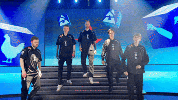 Team Esports GIF by BLAST