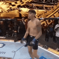 Ufc Chile GIF