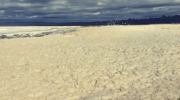 Beach Covered in Sea Foam After New South Wales Storms