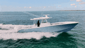 Boat Fishing GIF by GEMLUX