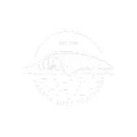 surf surfing Sticker by ParafaSurfClub