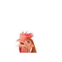 Dawn Hahn Sticker by CHERRISK