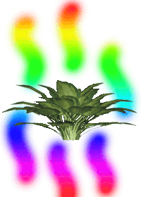 3d rainbow STICKER by Scott Csoke
