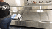 baggage claim dog GIF by Emo Nite