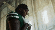 Football Nfl GIF by New York Jets