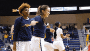 GIF by Toledo Rockets