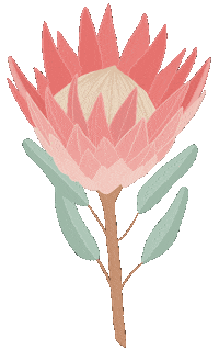 Illustration Flower Sticker
