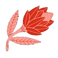 Aurage illustration pink flower sweet Sticker