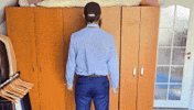 Shake It Dancing GIF
