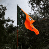 Bollywood Lotus GIF
