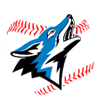 Csusbdodgergame Sticker by CSUSB