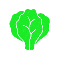 Lettuce Eating Sticker by ualcatering