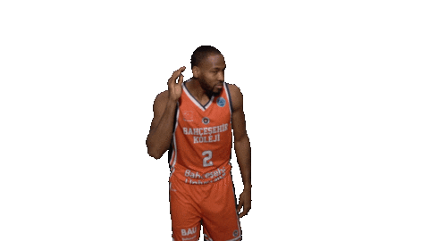 Gameday Reddragons Sticker by bkbasketbol