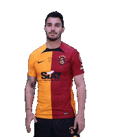 Futbol Galatasaray Sticker by Kaan Ayhan