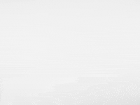 Animation Dog GIF by Jonah Primiano