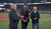 Blue Jays Baseball GIF by Toronto Blue Jays