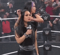 Wwe Cover Ears GIF