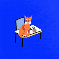 Watch Me Cat Party GIF by Furrend