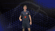 Cnms GIF by Carson-Newman Athletics
