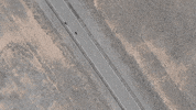 Lets Go Ride GIF by Go Fast Don't Die
