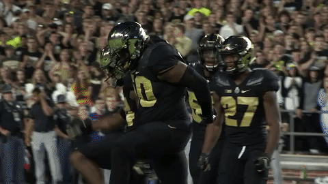 Football Jeffbrohm GIF by Purdue Sports