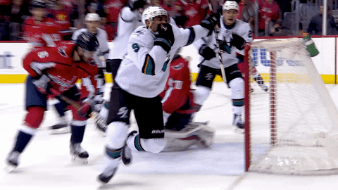 GIF by San Jose Sharks