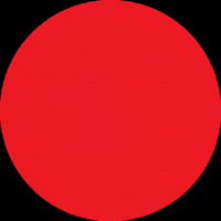 avant_beania_fad avant beania GIF