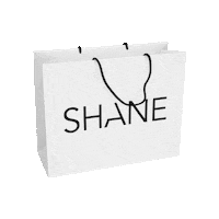Paper Bag Shopping Sticker by SHANE